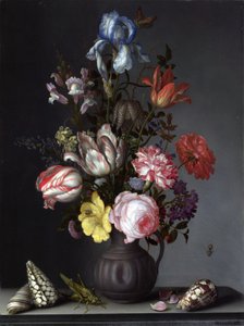 貝殻と昆虫と花瓶の花 作： Balthasar van der Ast